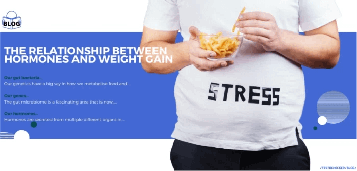 blogpost.hormonesandfood