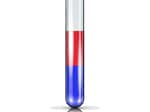 salivaomics.e2dominancetestkit