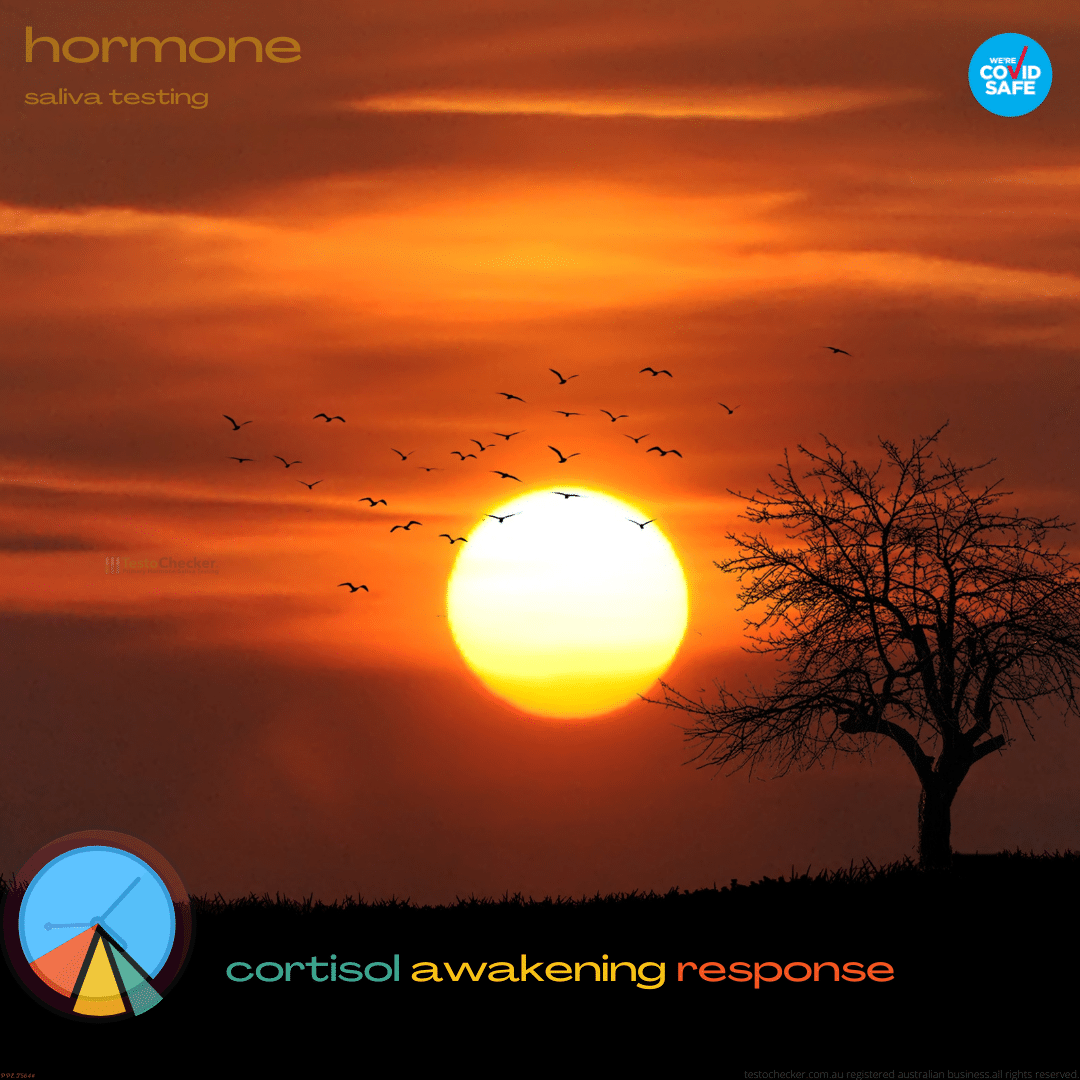 Productbanner.Cortisolawakeningresponse