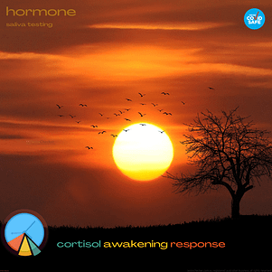 Productbanner.Cortisolawakeningresponse