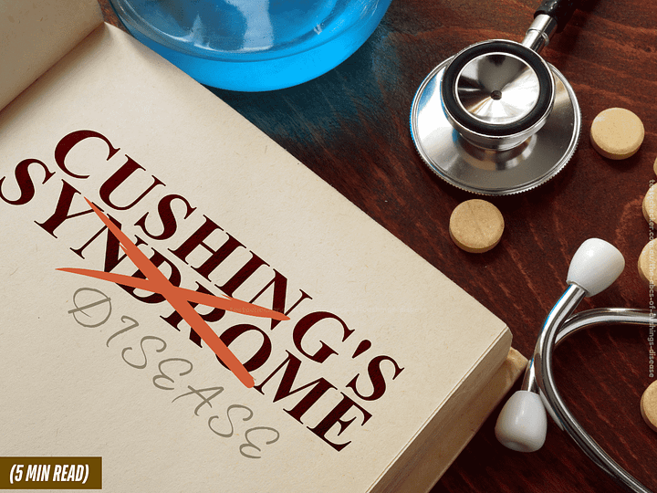 Blog post. Cushing's disease.