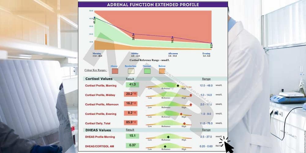 adrenal function extended profile test results sample only
