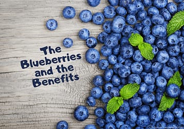 Blog Post main banner displaying Blueberries
