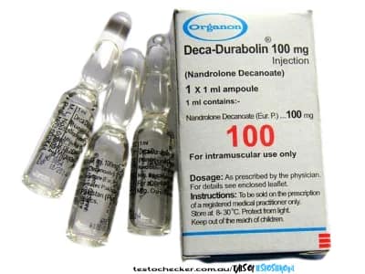 Deca Durabolin.blog.post image