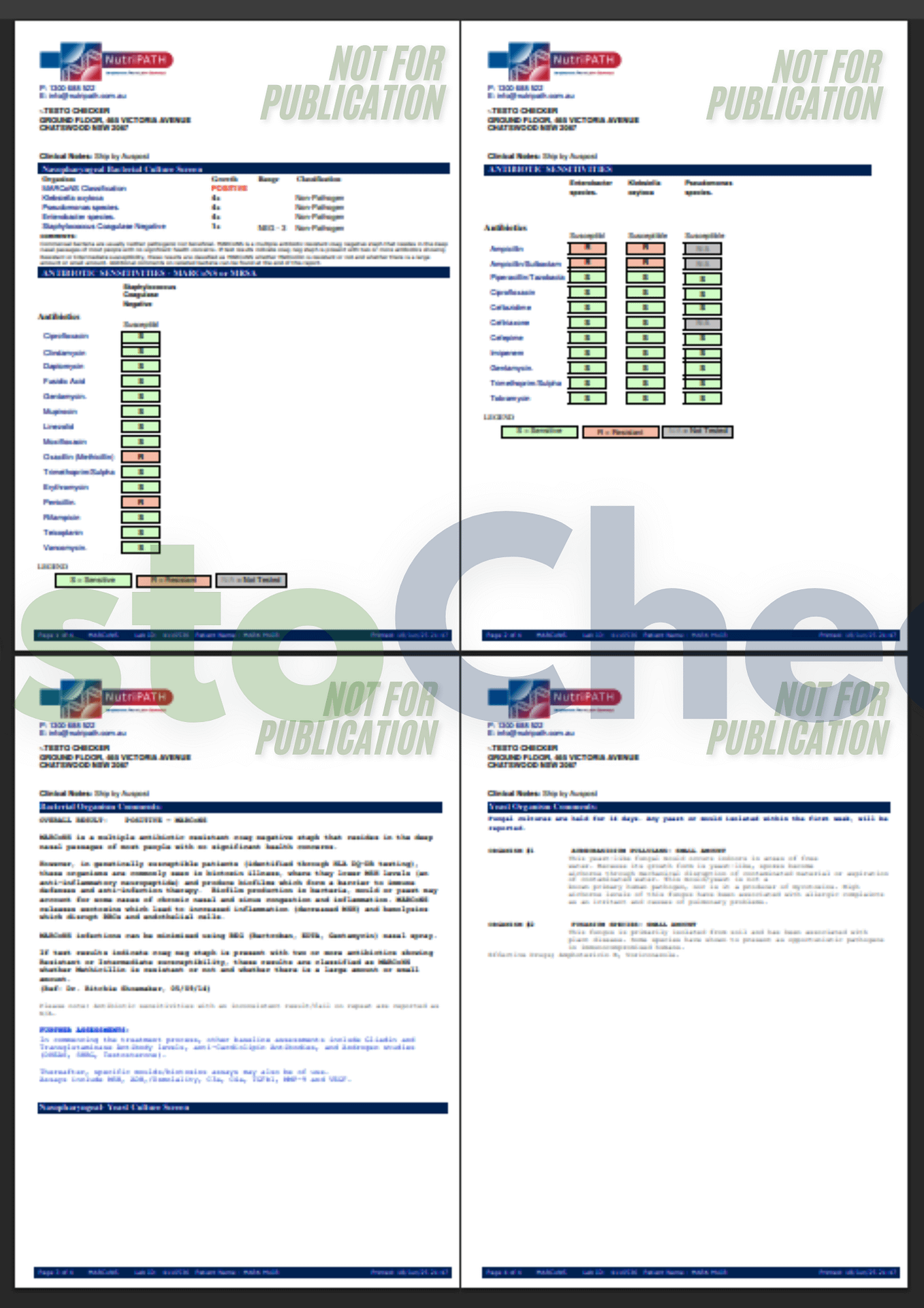 Sample Macrons test report.